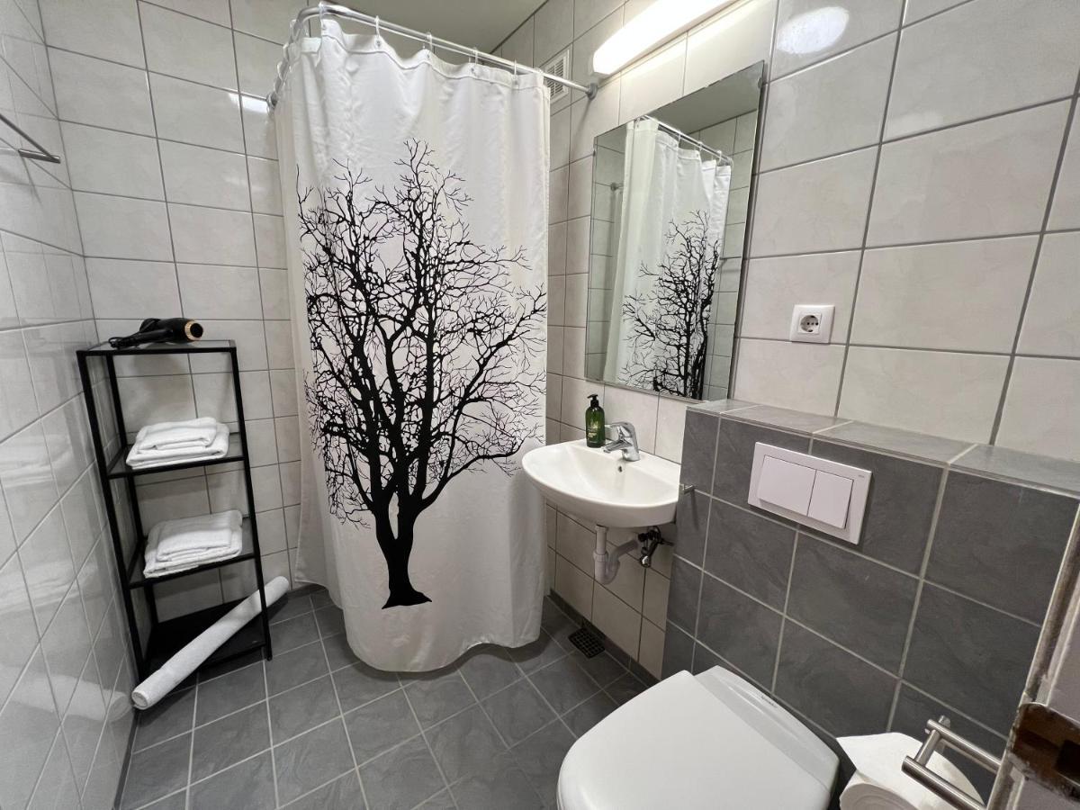 Panoramic Studio Apartment With Stunning View - Free Parking Рейк'явік Екстер'єр фото